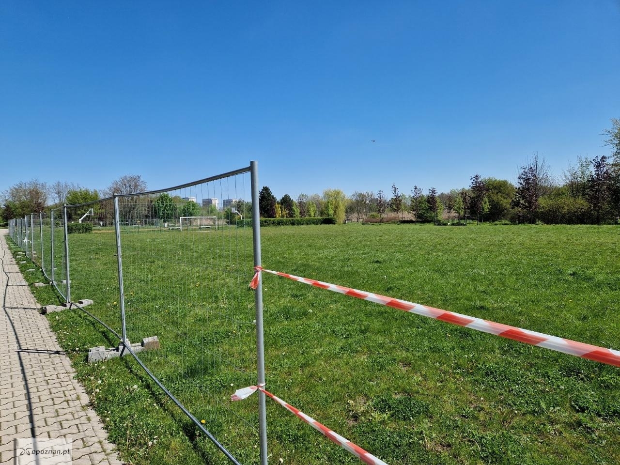 fot. ZZM Poznań