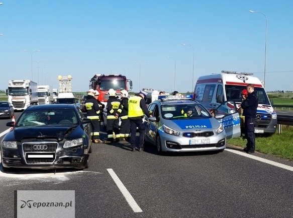 fot. policja