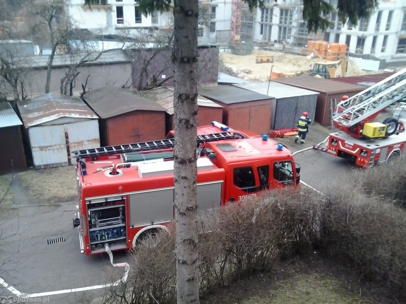 fot. Tadeusz