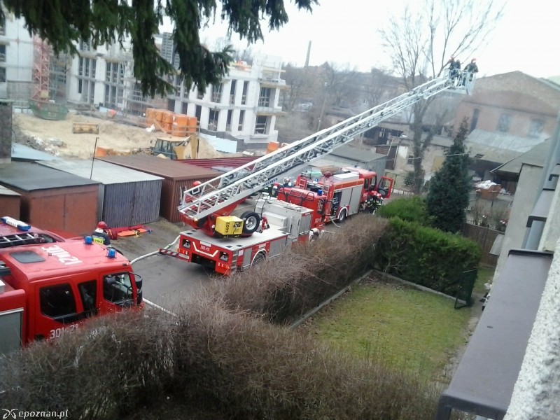 fot. Tadeusz