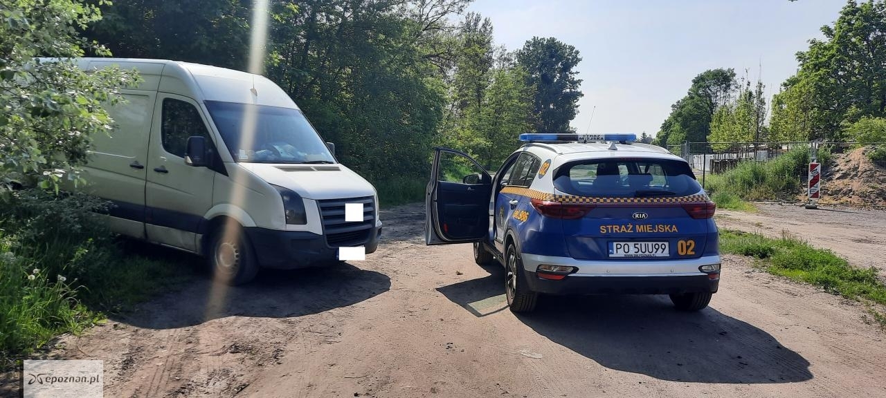 fot. Straż miejska