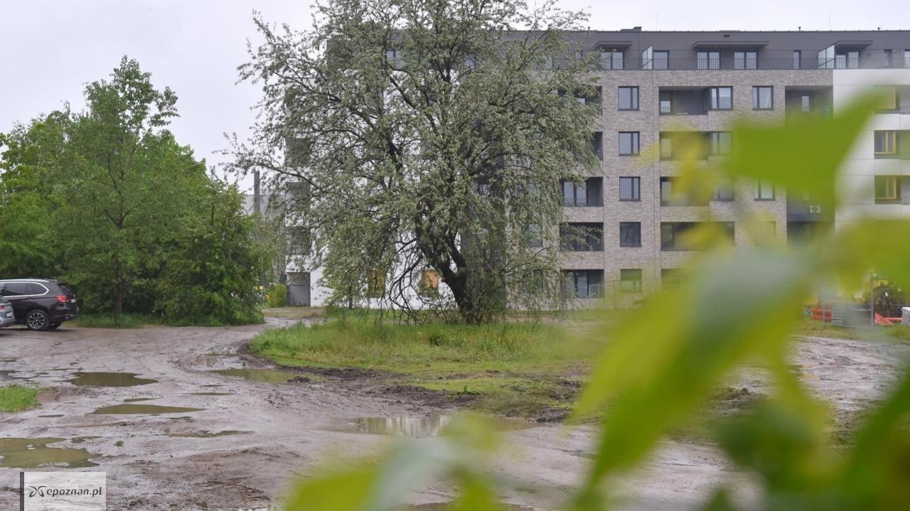 fot. UM Poznań
