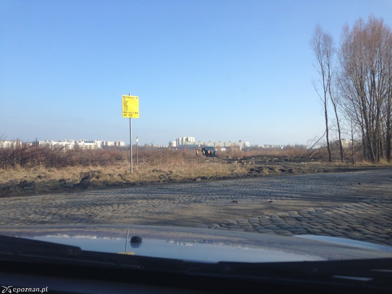 fot. Krzysko