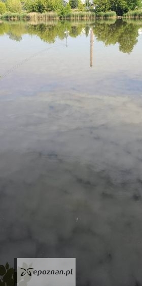 Zdjęcie z piątku | fot. Marek