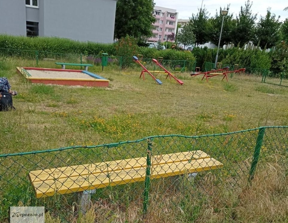 fot. Krzysztof