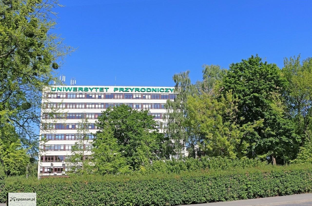 Materiały prasowe / archiwum | fot. UPP