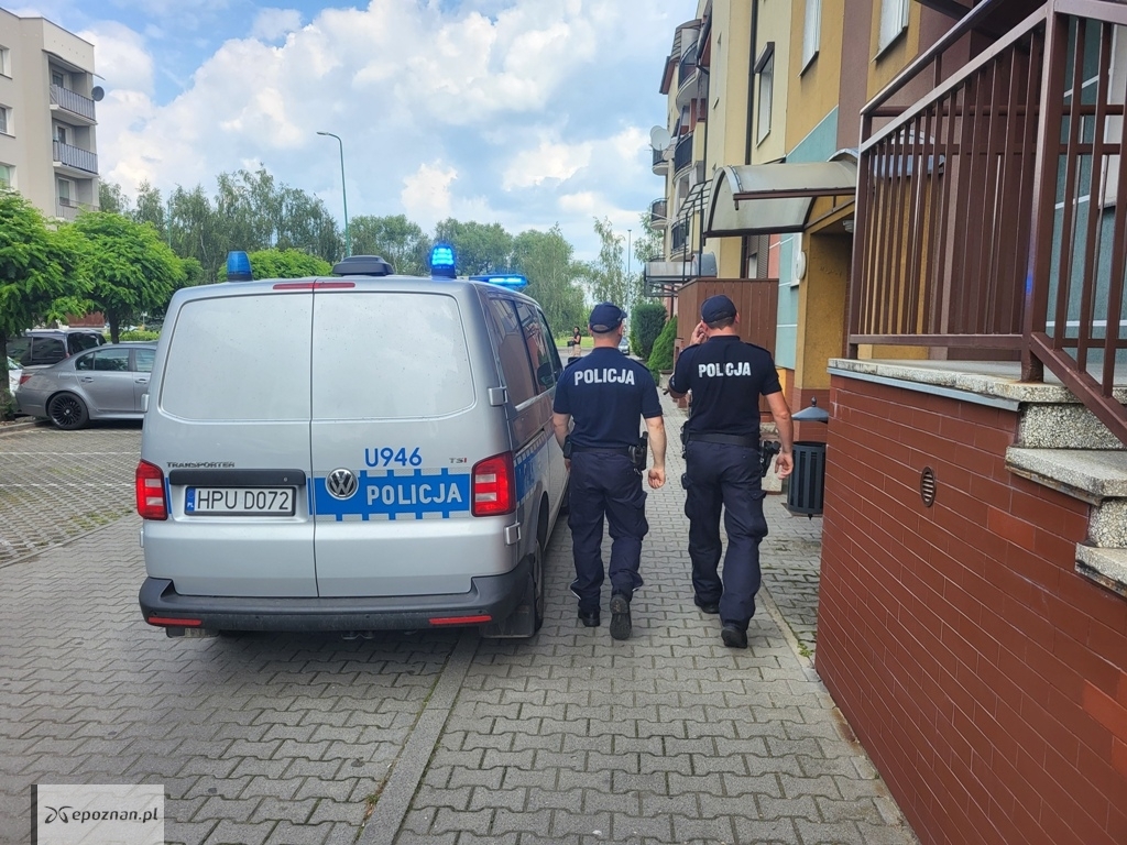 fot. policja