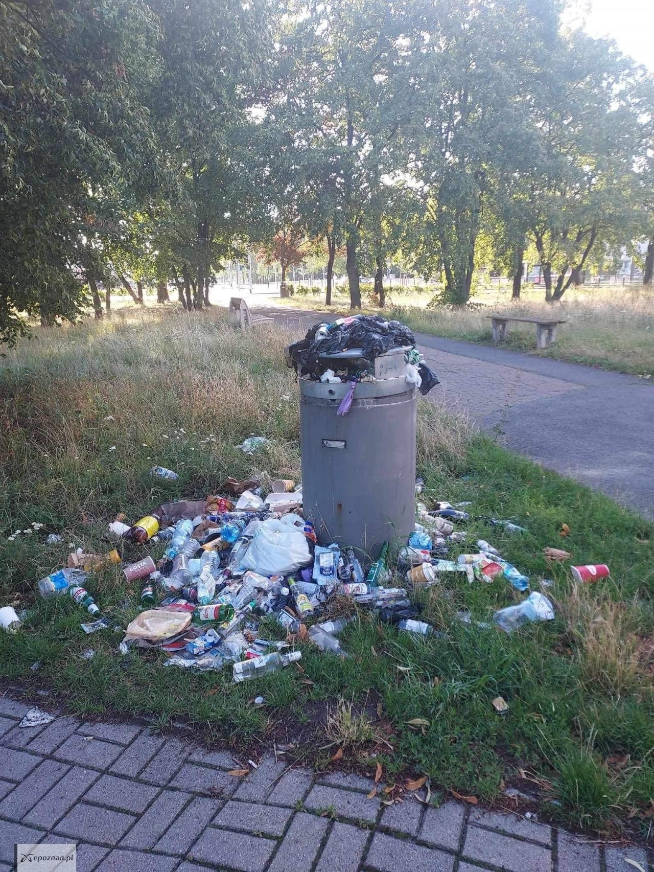 fot. Marzena