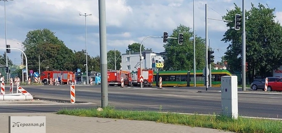 fot. Patryk