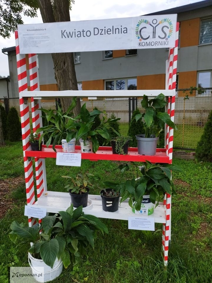 fot. Kwiato Dzielnia/ Centrum Integracji Społecznej w Komornikach.