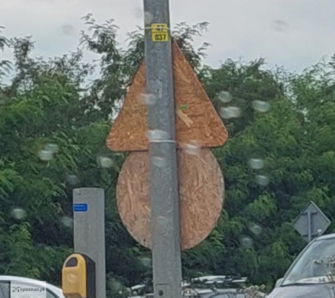 fot. Czytelniczka