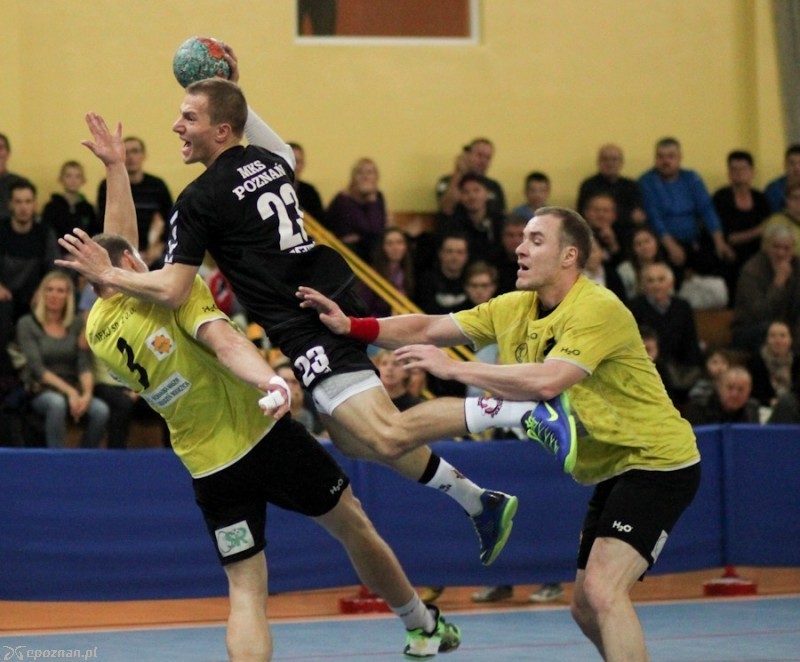 fot. Elżbieta Skowron