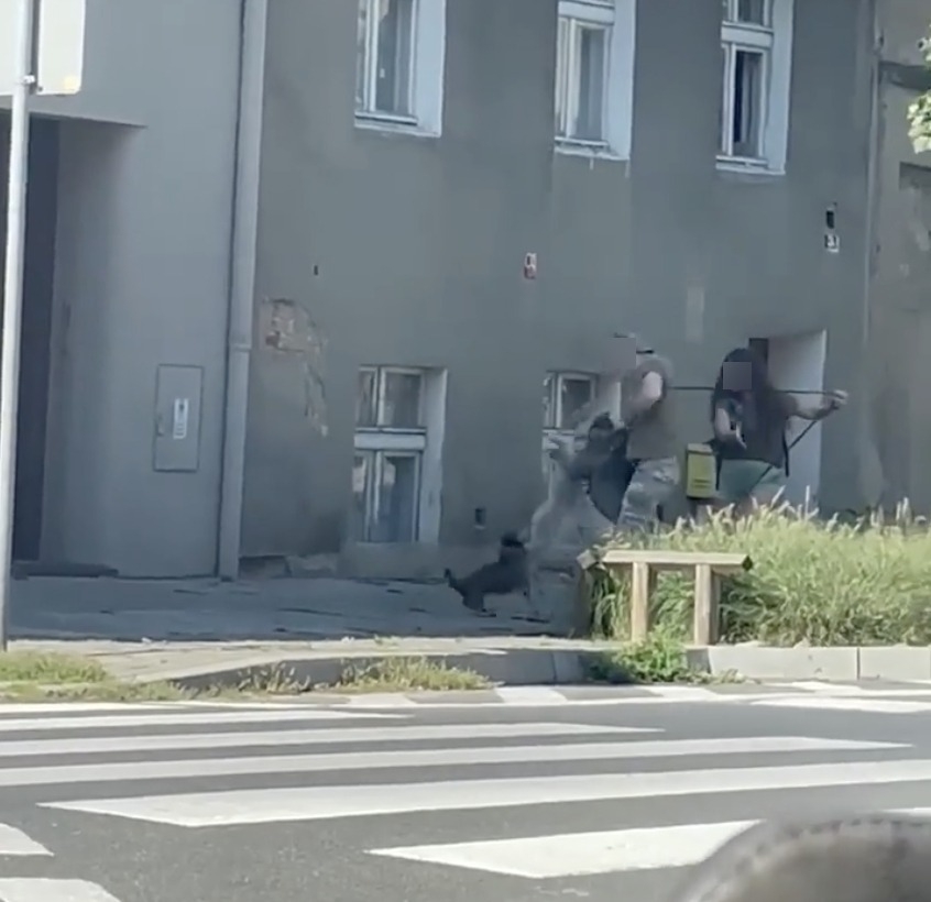 fot. TOZ Gniezno / FB