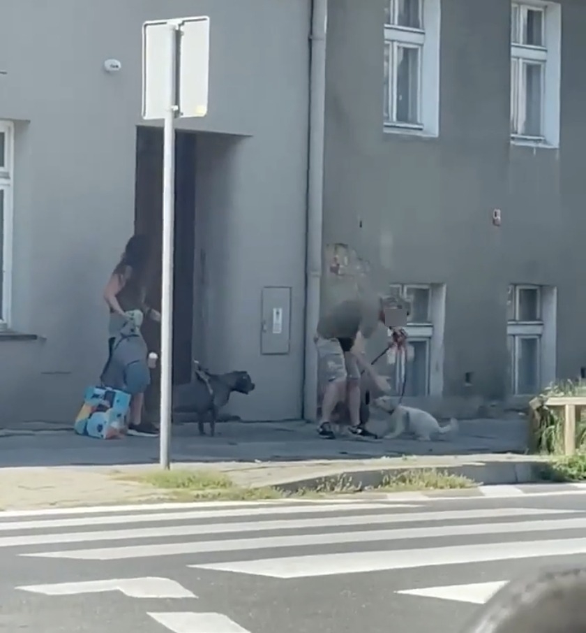 fot. TOZ Gniezno / FB