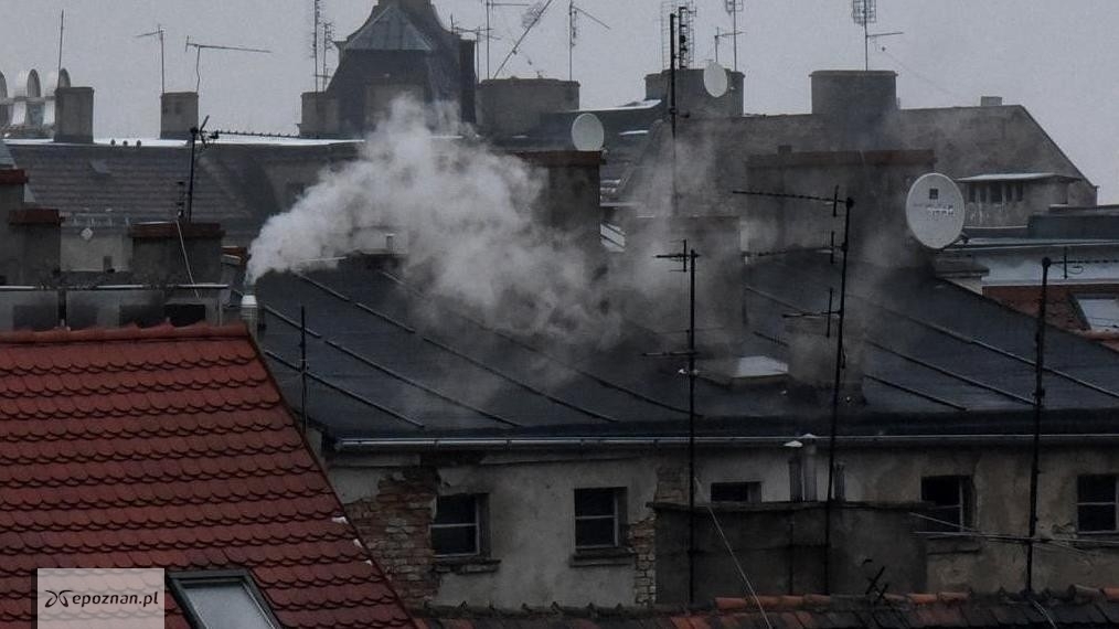Zdjęcie ilustracyjne | fot. UM Poznań