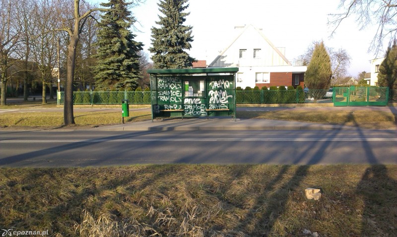 fot. czytelnik