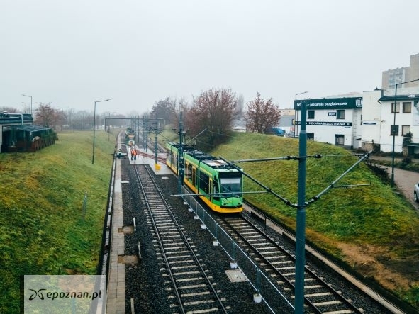 fot. ZTM Poznań