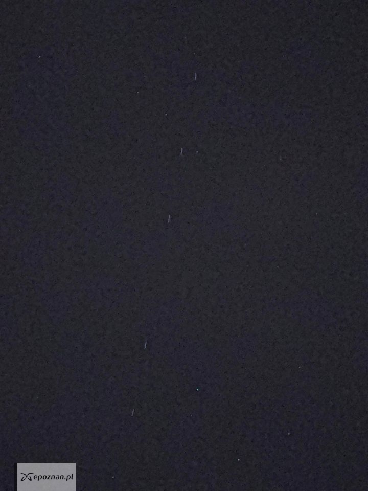 fot. Michał