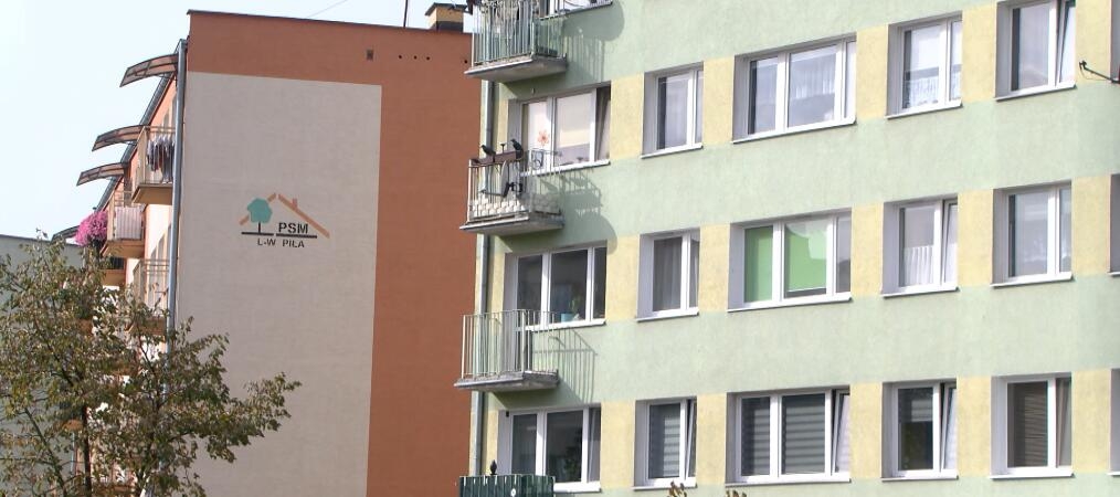 fot. asta24.pl