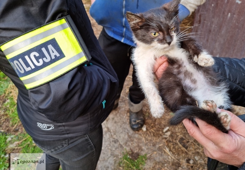 fot. policja