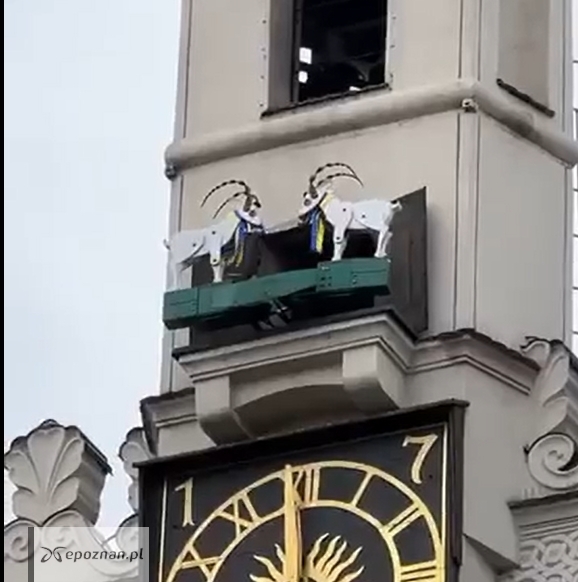 fot. Poznan_moment