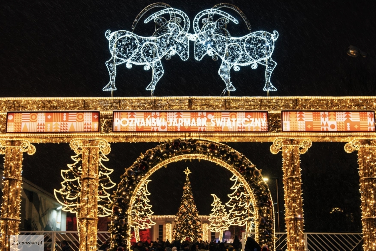 fot. UM Poznań