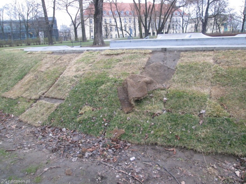 fot. Nishio Poznań