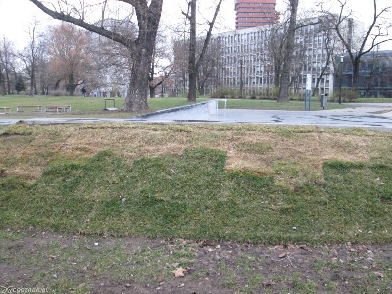 fot. Nishio Poznań