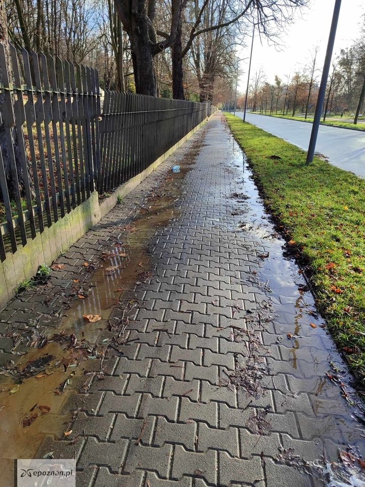 fot. Bartosz