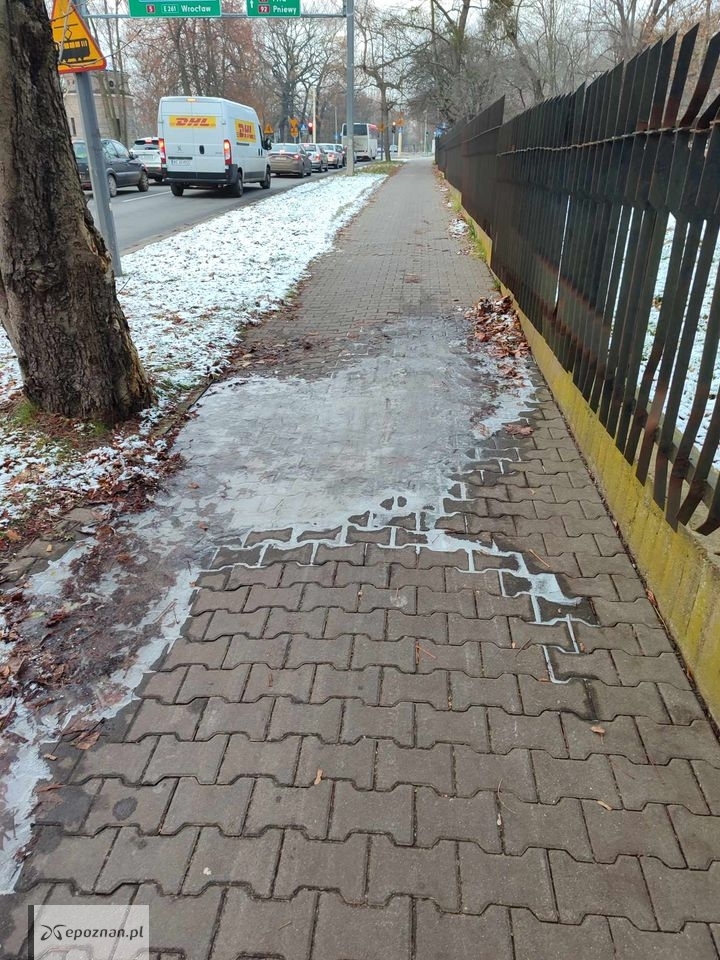 fot. Bartosz