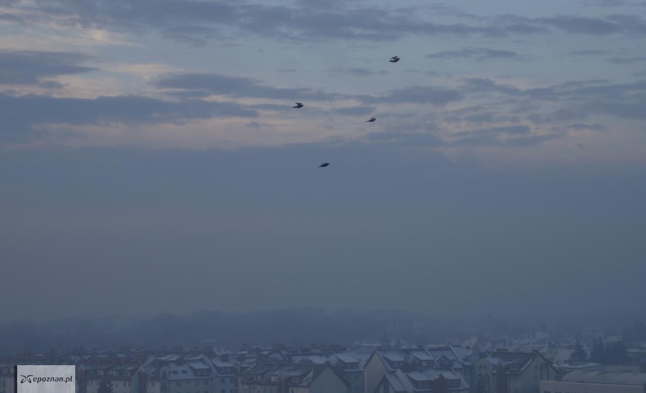 fot. Włodzimierz Hoppel