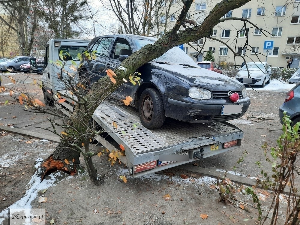 fot. SM