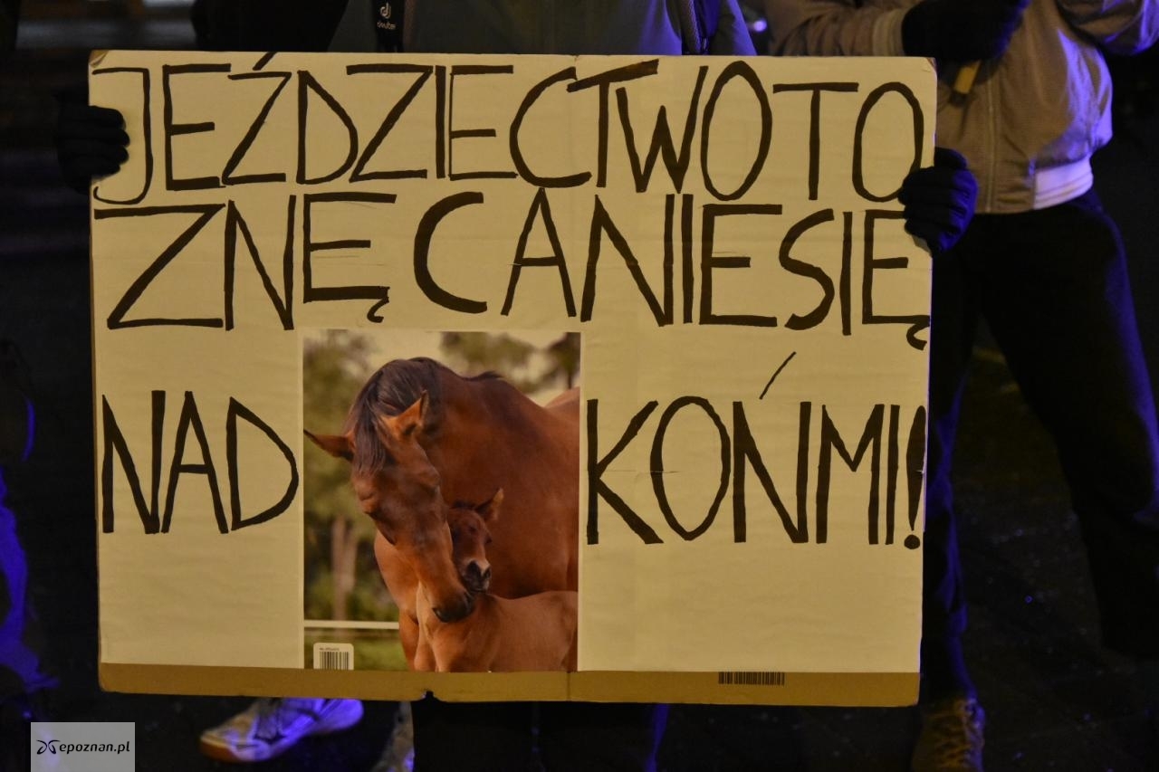 fot. Przemysław Łukaszyk