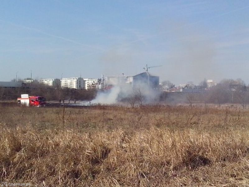 fot. czytelnik
