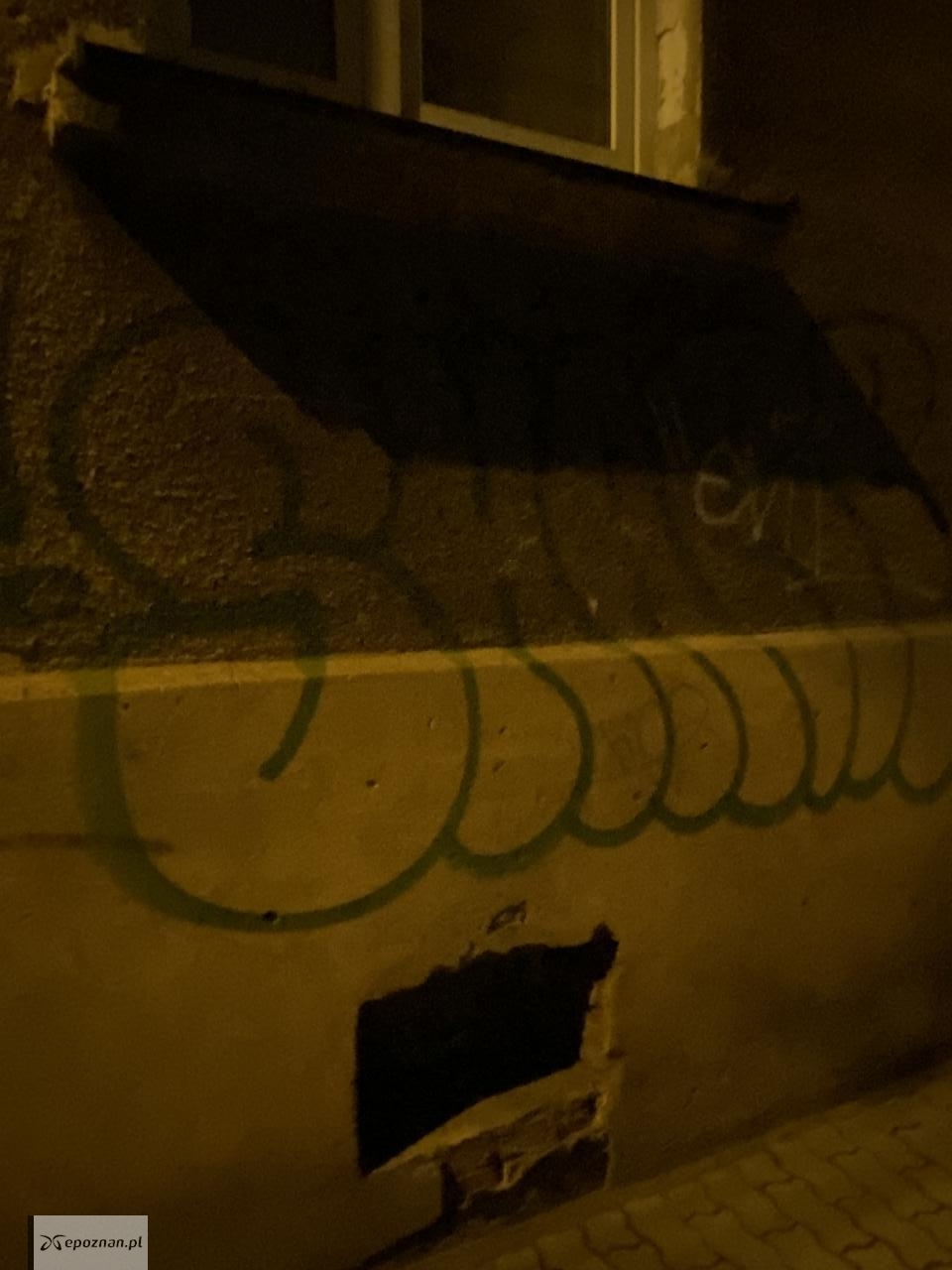 fot. Czytelniczka