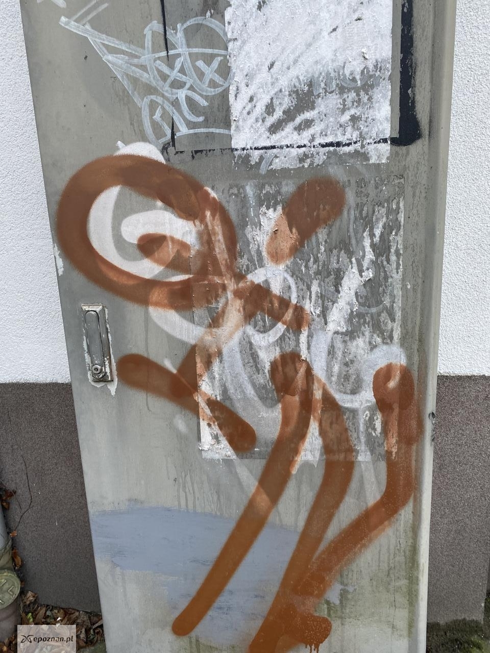 fot. Czytelniczka
