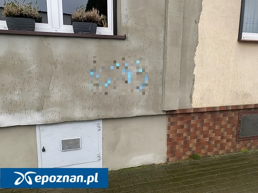 fot. policja