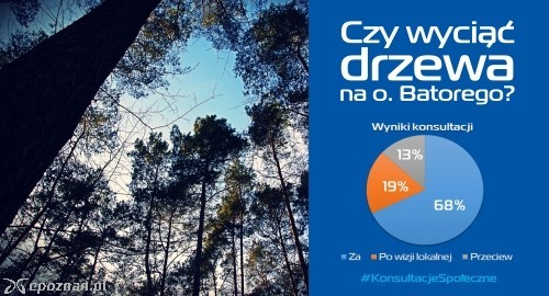fot. materiały prasowe