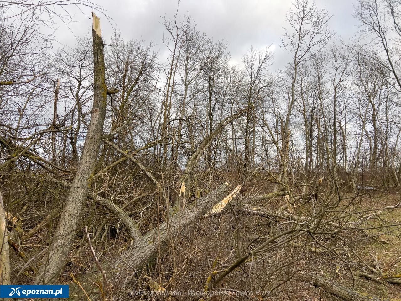 fot. Łukasz Kuliński / Wielkopolski Łowca Burz