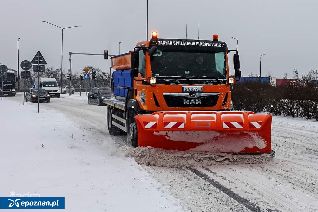 fot. ZDM Poznań