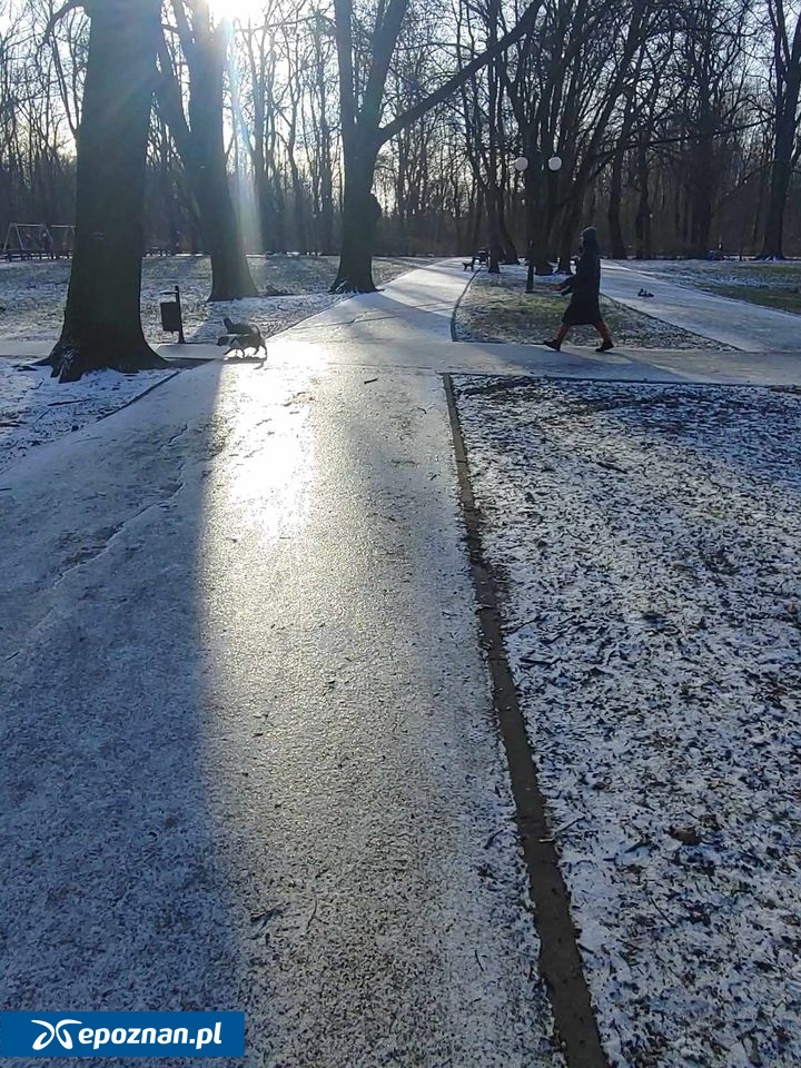 Park Sołacki | fot. Maciej