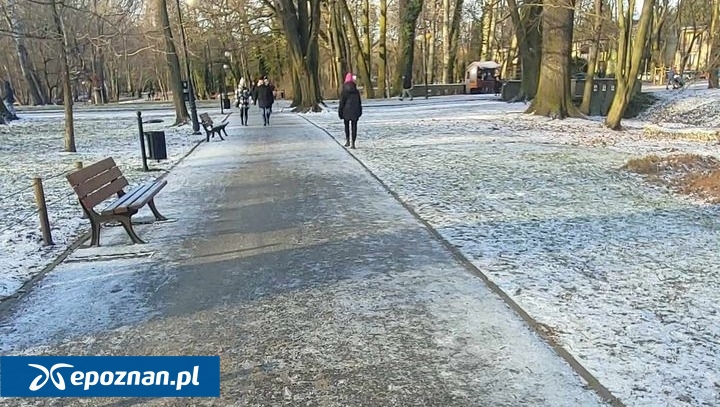 Park Sołacki | fot. Maciej