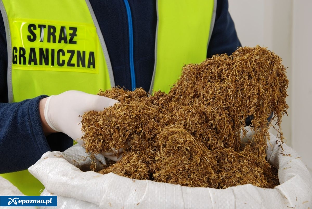 fot. Nadodrzański Oddział Straży Granicznej