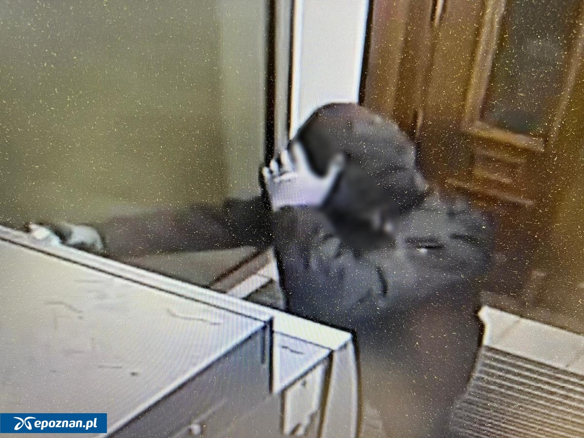 fot. policja