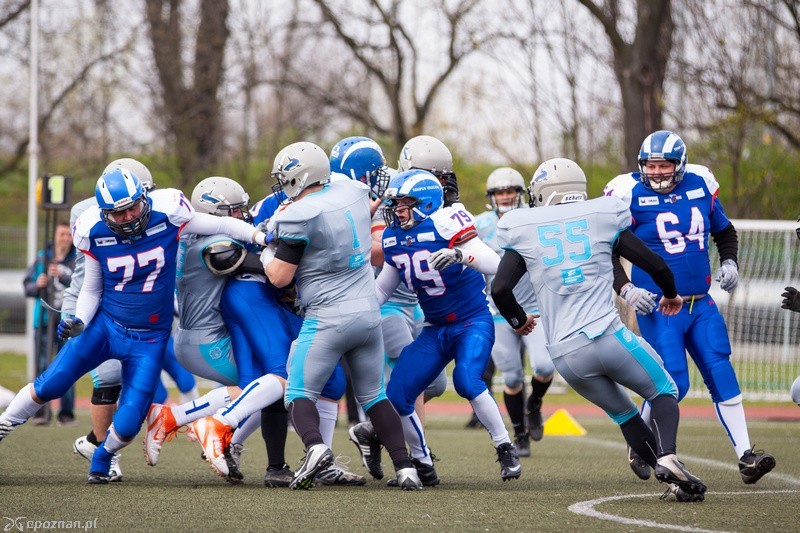 Kozły Poznań - Warsaw Sharks 45:0 | fot. Tomasz Szwajkowski