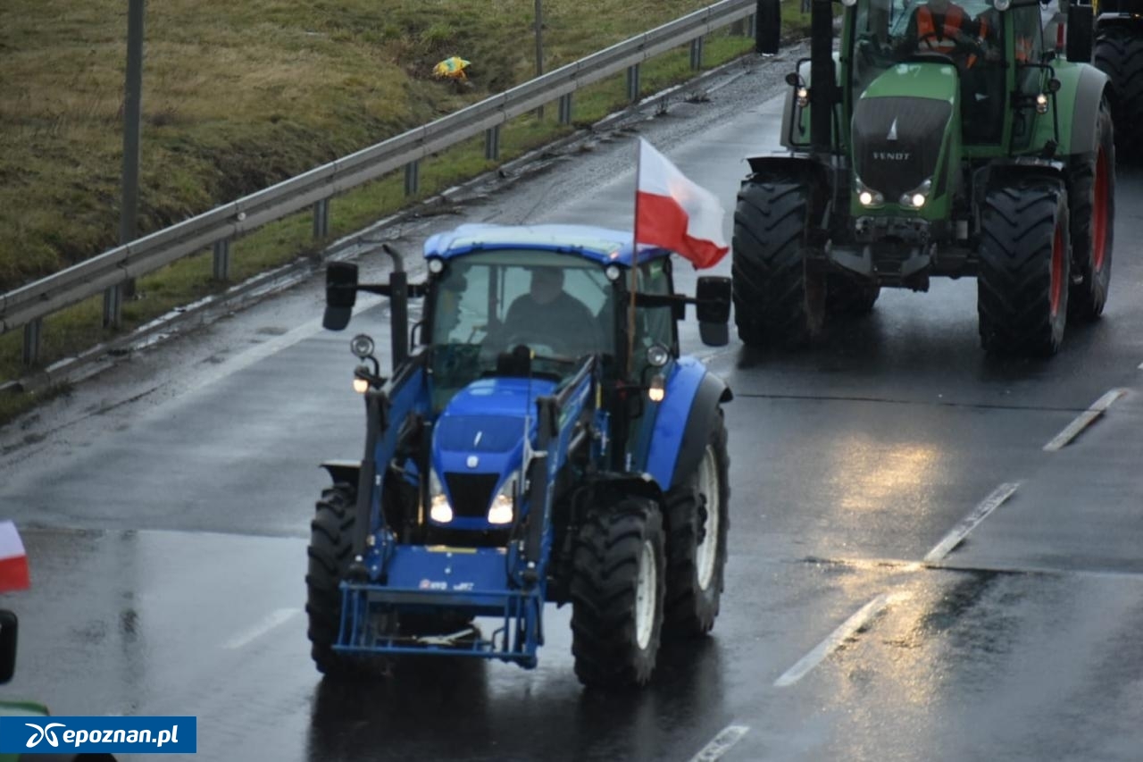 fot. Przemysław Łukaszyk