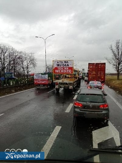 fot. Darek