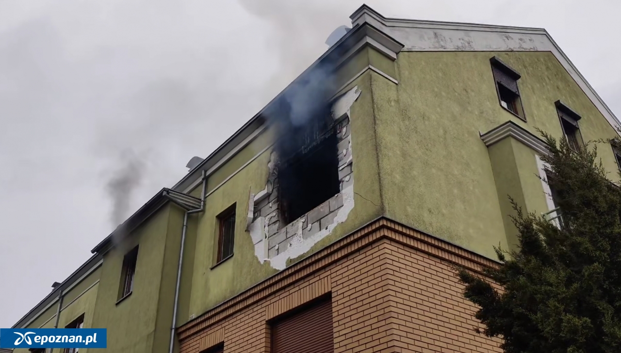fot. Tydzień Ziemi Śremskiej / FB