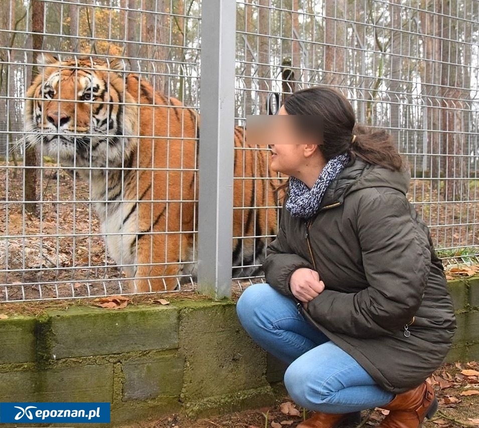 fot. ZOO Poznań Official / Facebook