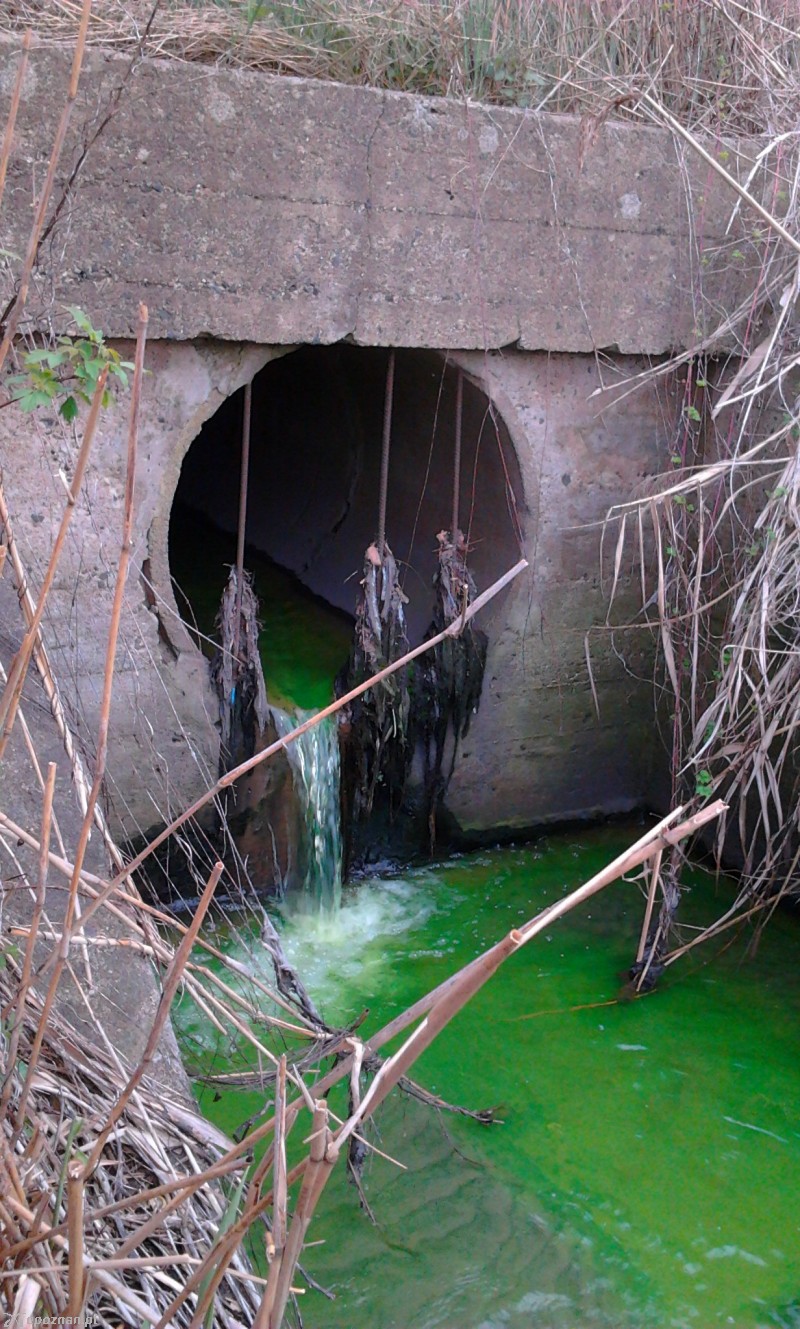fot. czytelnik